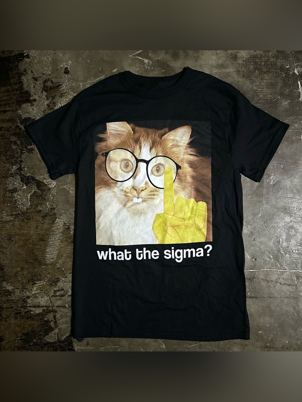 SMALL funny “what the sigma?” cat graphic tee